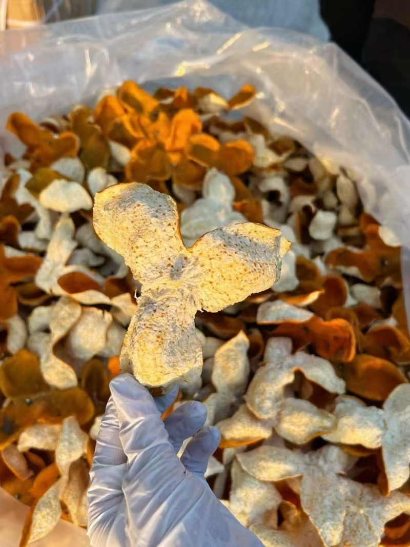 新会陈皮大红皮，天然生晒，规格齐全，货发全国客商