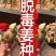 姜种批发【368高产大黄姜种】提供技术全国发货