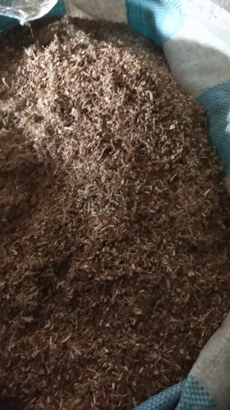 纯红皮甘草沫子