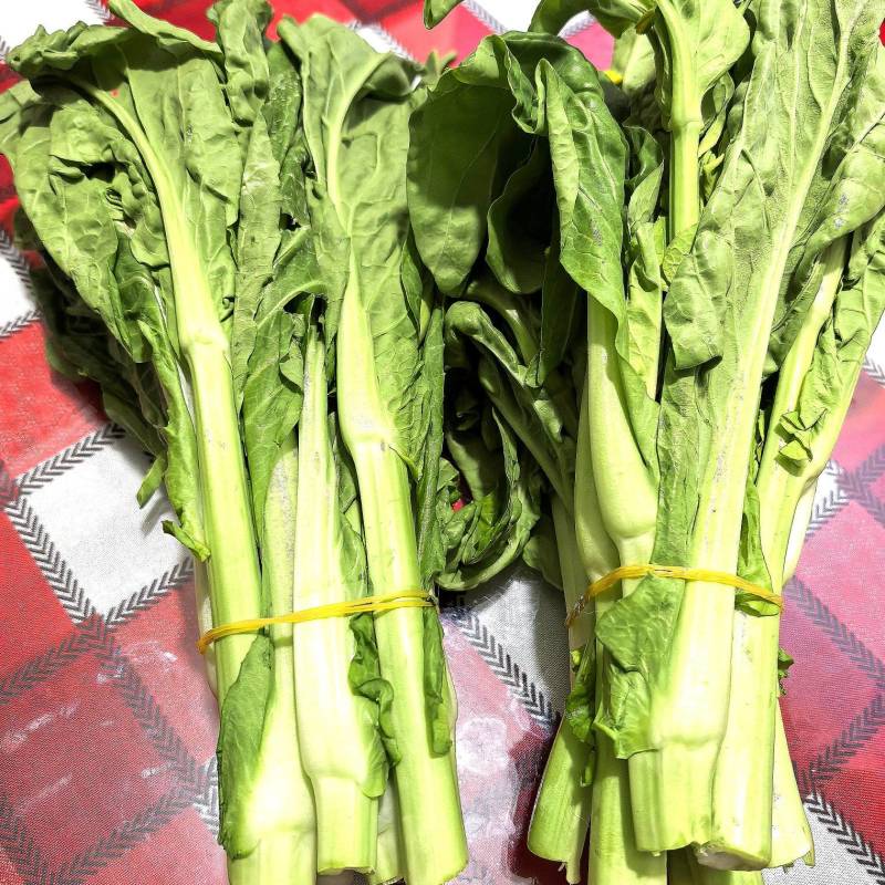 贵州芽白菜苔
