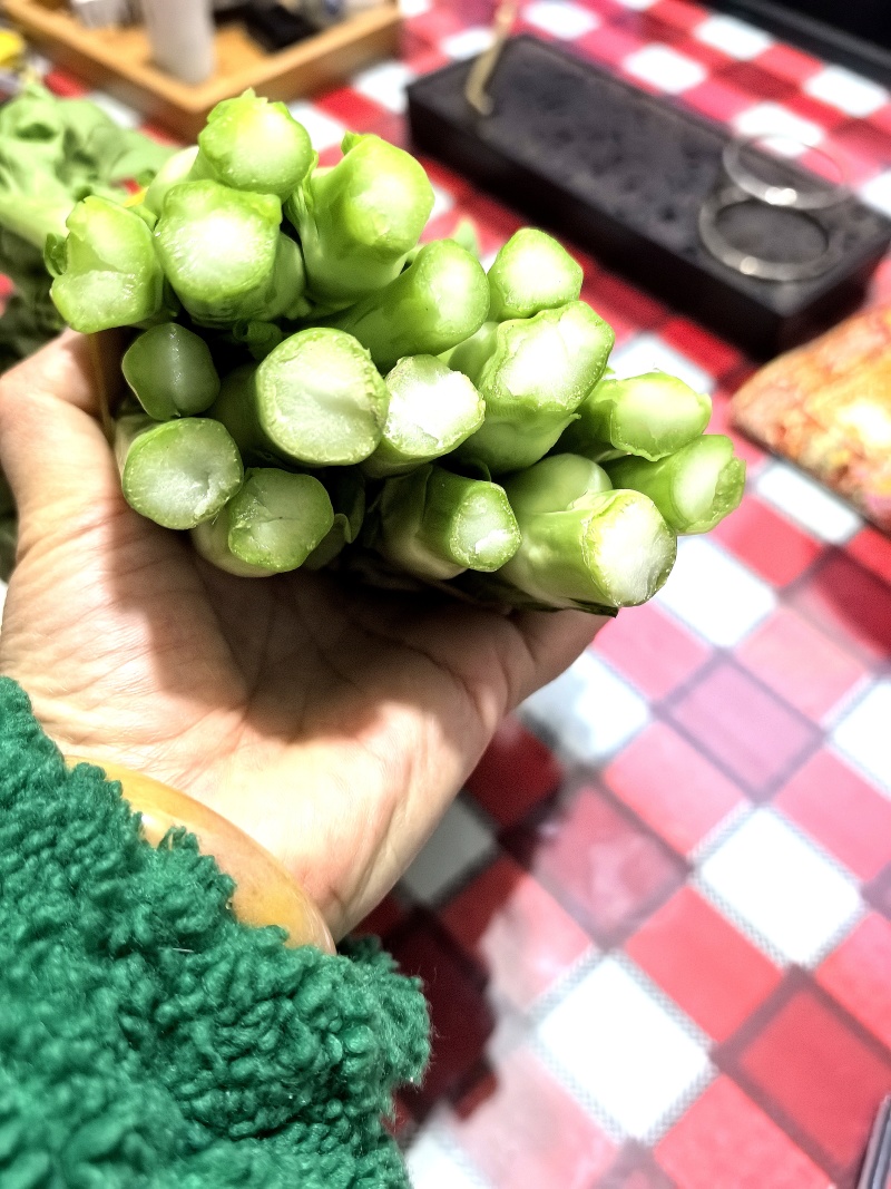 贵州芽白菜苔