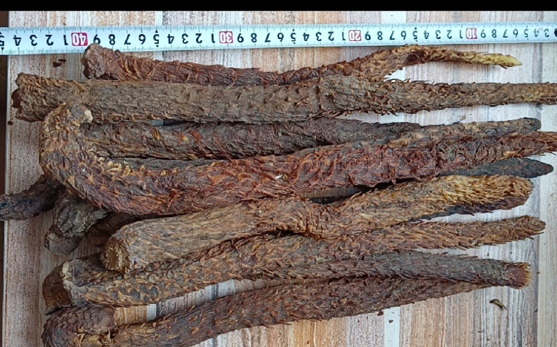 肉丛蓉大云个大云片各种规格，多种药材批发代加打粉压片