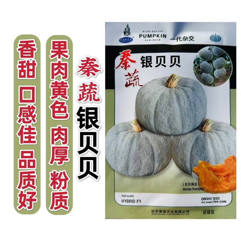 秦蔬银贝贝南瓜种子香甜粉糯银栗南瓜种子果肉黄色小贝贝南瓜