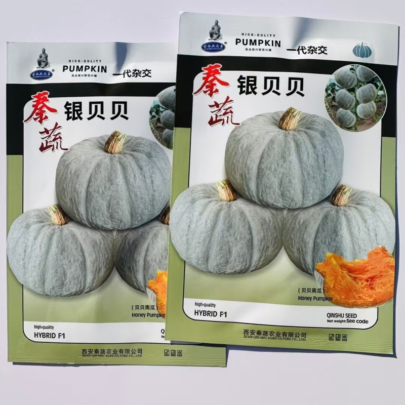 秦蔬银贝贝南瓜种子香甜粉糯银栗南瓜种子果肉黄色小贝贝南瓜