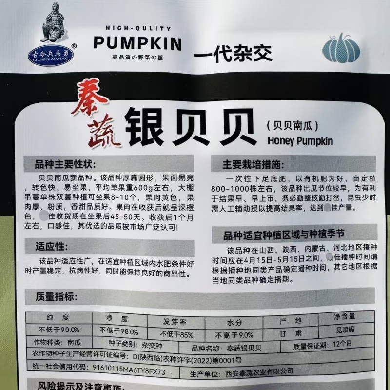 秦蔬银贝贝南瓜种子香甜粉糯银栗南瓜种子果肉黄色小贝贝南瓜
