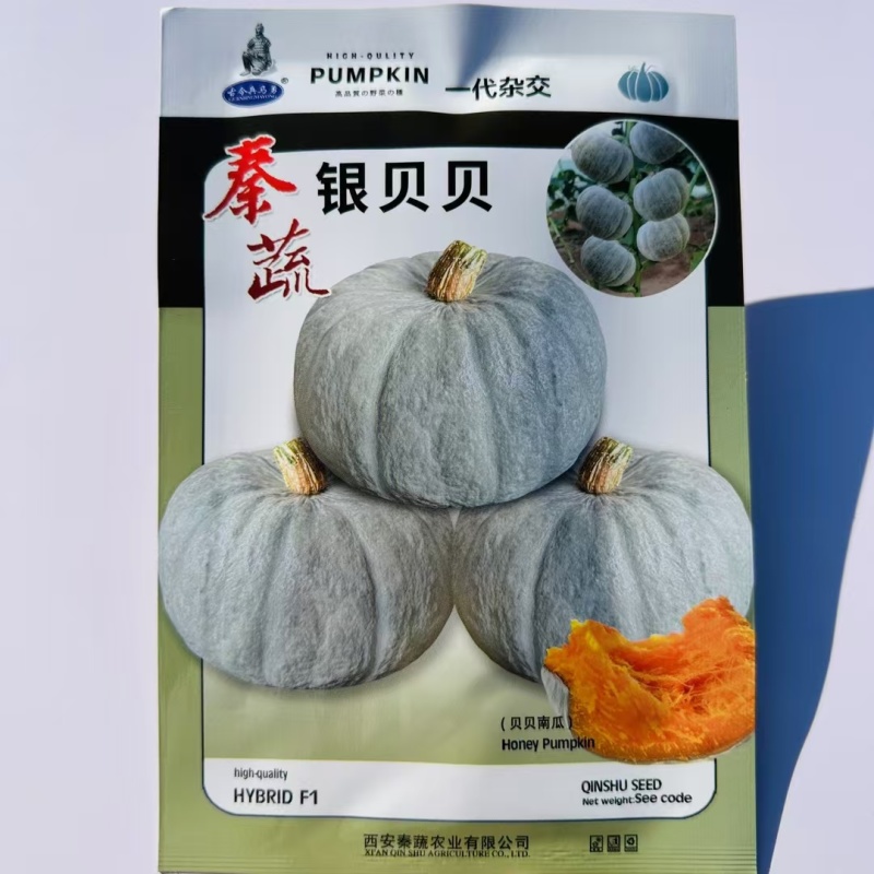 秦蔬银贝贝南瓜种子香甜粉糯银栗南瓜种子果肉黄色小贝贝南瓜