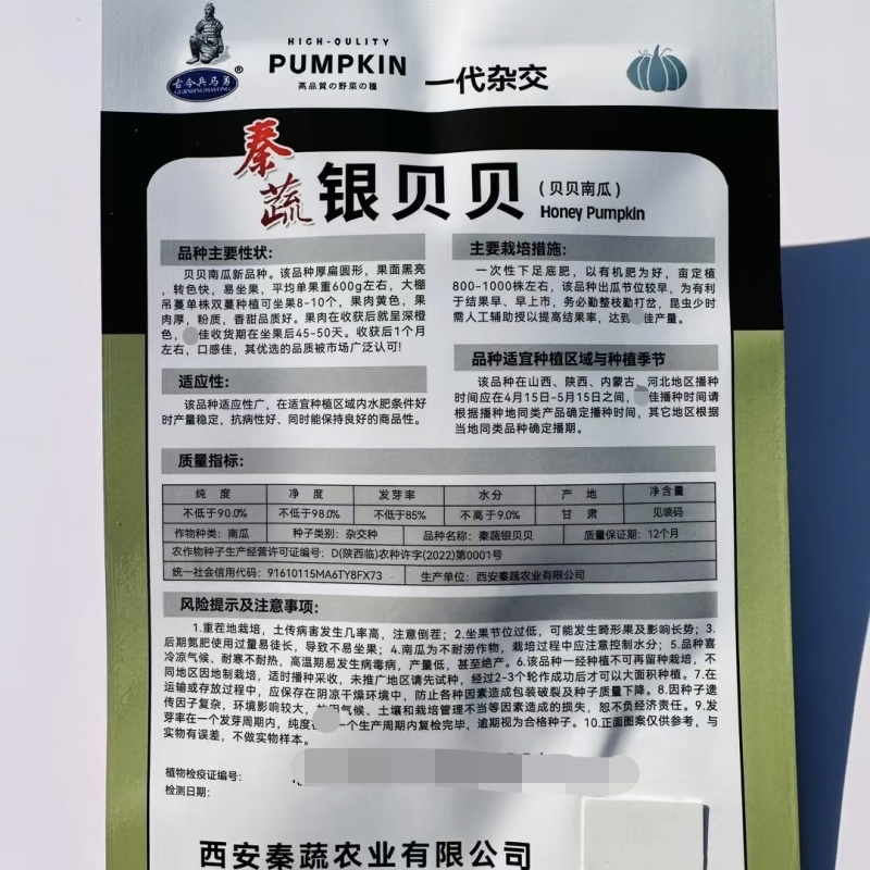 秦蔬银贝贝南瓜种子香甜粉糯银栗南瓜种子果肉黄色小贝贝南瓜
