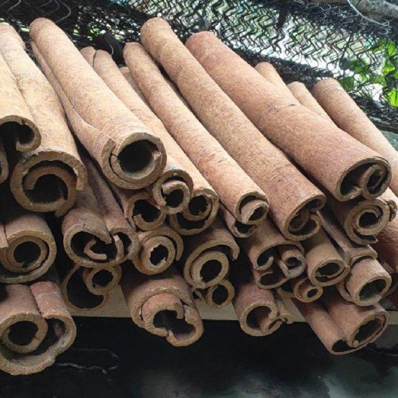 肉桂各种香料各种中药，多种中药批发代加，