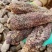 新疆肉苁蓉一手货源品质保障欢迎客商电话订货