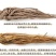 岷县当归野生人工种植正品当归协助装车包邮无硫