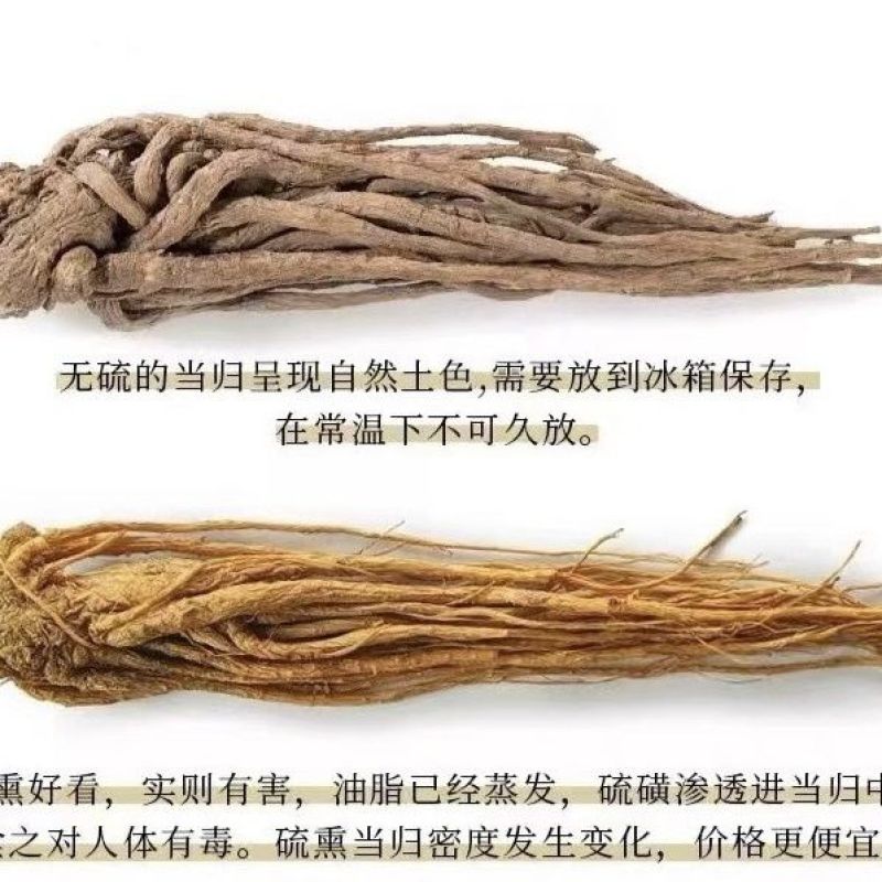 岷县当归野生人工种植正品当归协助装车包邮无硫