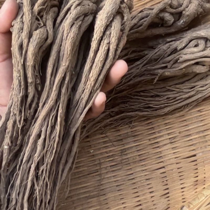 岷县当归野生人工种植正品当归协助装车包邮无硫