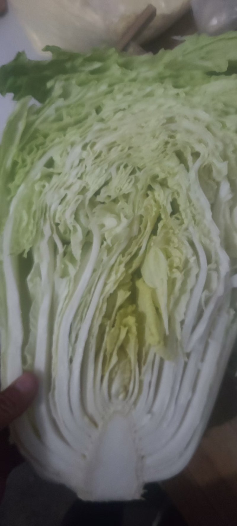 大抱头白菜量大质优价格美丽，代收代收全国各地。
