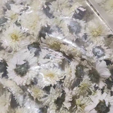 菊花茶