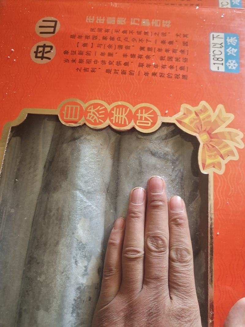 新品带鱼礼盒送人送礼电商团购厂家直发可定制
