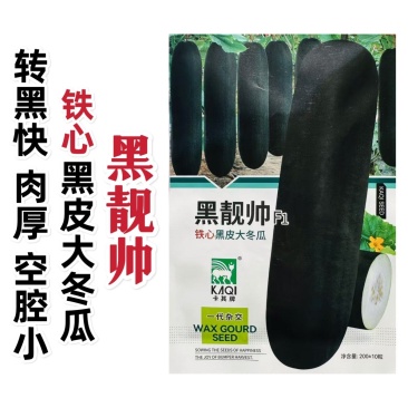 黑靓帅铁心黑皮大冬瓜种子广东黑皮冬瓜种籽特大肉厚高产