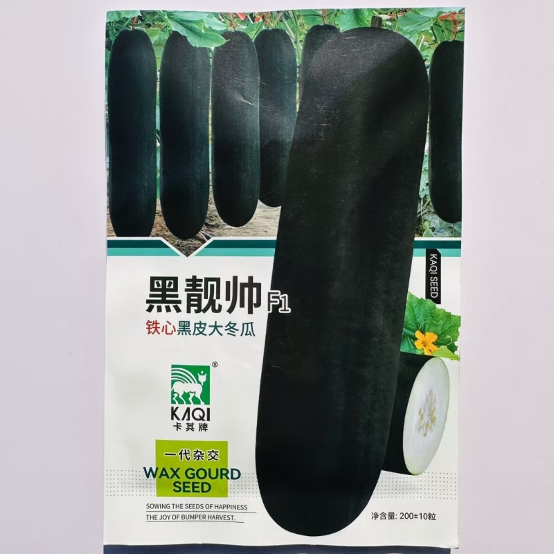 黑靓帅铁心黑皮大冬瓜种子广东黑皮冬瓜种籽特大肉厚高产