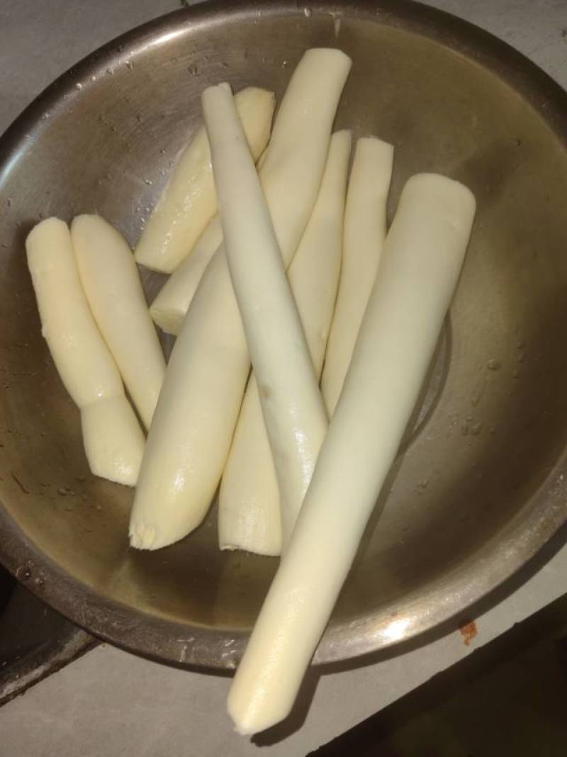 华南9号黄心木薯