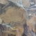 白术生白术炒白术各种规格，大小中片各种名贵药材冷背药材中药材