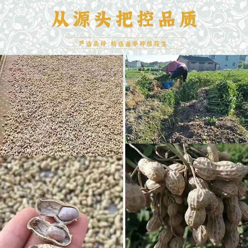 新货特价24年烤花生批发蒜香五香奶香多味陈皮卤小珍