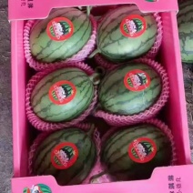 《精L600全美2k西瓜》大红瓤吊瓜小西瓜手剥瓜