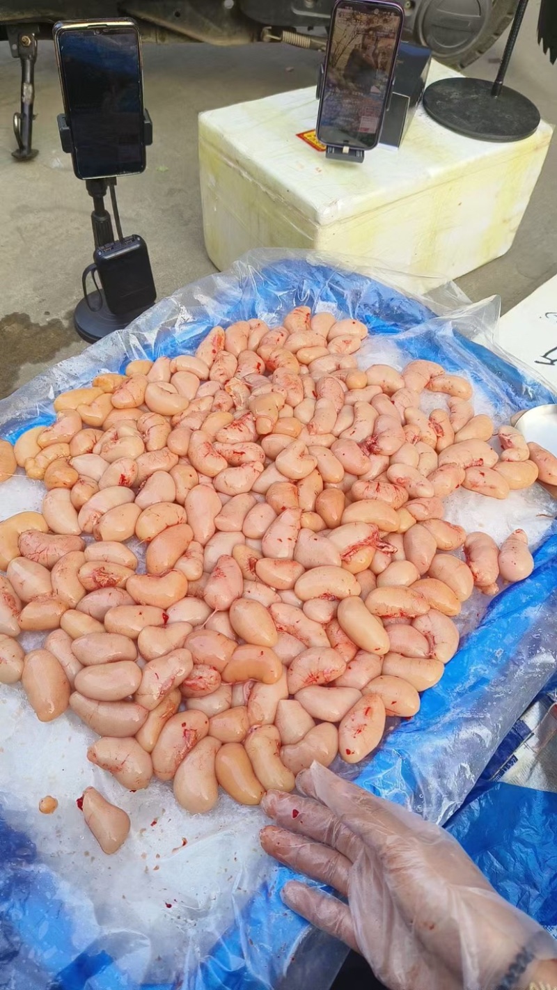 市场供应公鸡蛋三黄鸡腰子各种规格批发价格拿