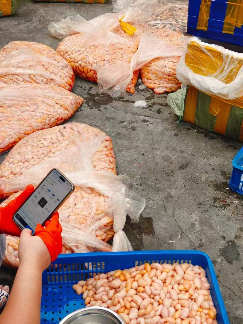 市场供应公鸡蛋三黄鸡腰子各种规格批发价格拿