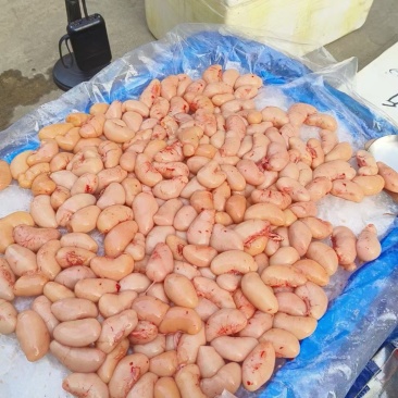 市场供应公鸡蛋三黄鸡腰子各种规格批发价格拿