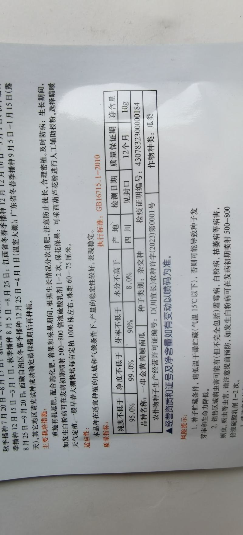 南瓜种子一串金黄肉小南瓜早熟结瓜多嫩脆清香味浓