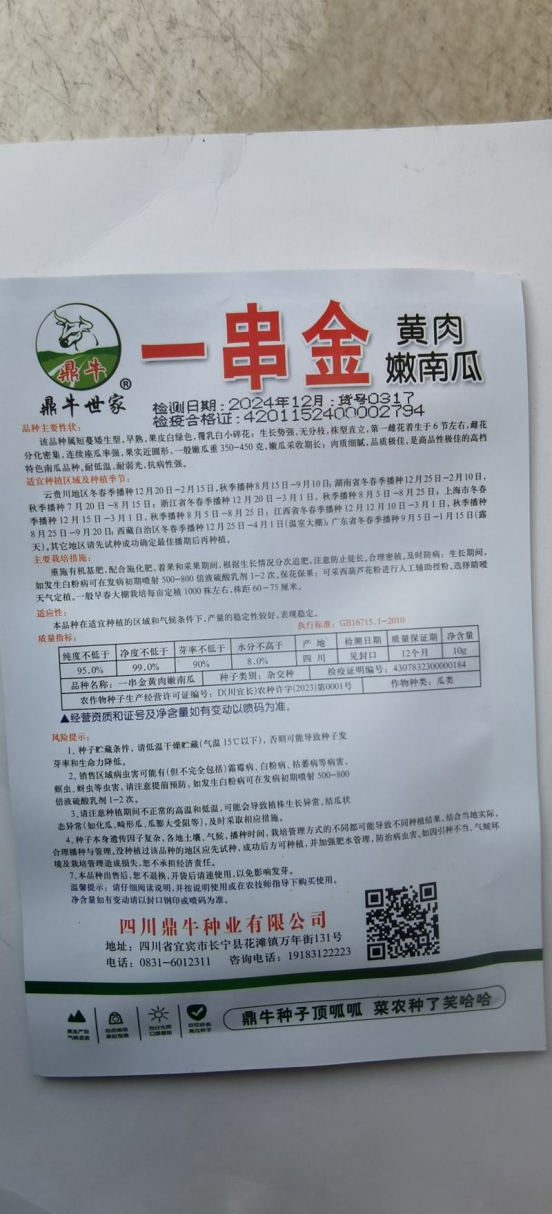 南瓜种子一串金黄肉小南瓜早熟结瓜多嫩脆清香味浓