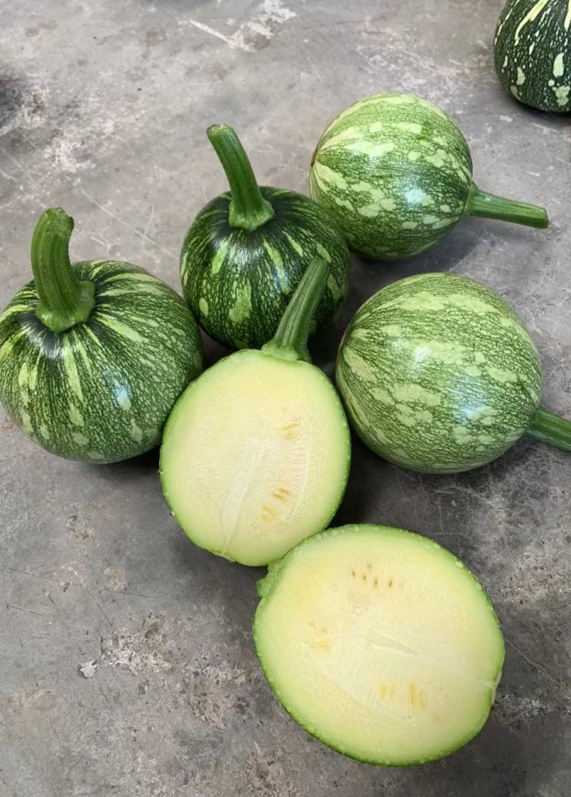南瓜种子一串金黄肉小南瓜早熟结瓜多嫩脆清香味浓