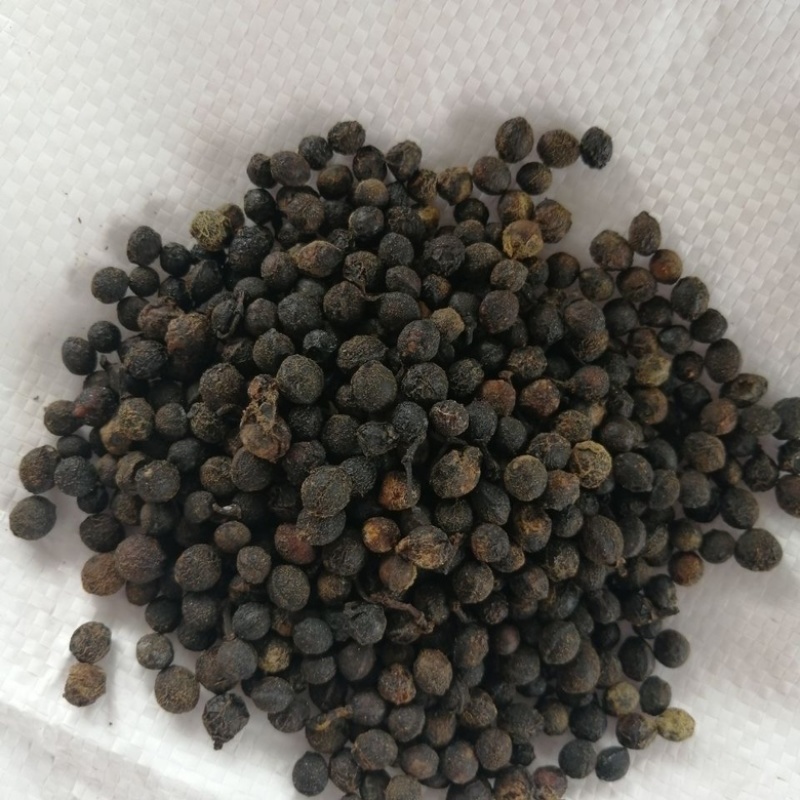 木姜子。山苍子批发零售欢迎大家咨询