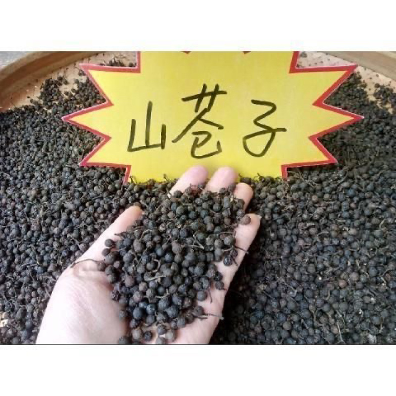 木姜子。山苍子批发零售欢迎大家咨询