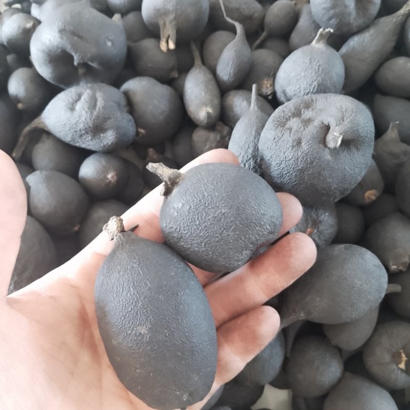 野生乌灵参干品，实心，纯黑，各种规格都有现货