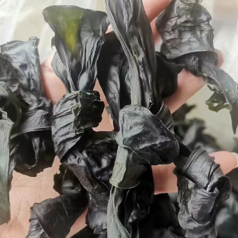优质水洗烘干海带结无沙无杂质泡发率高易熟干海带结干货