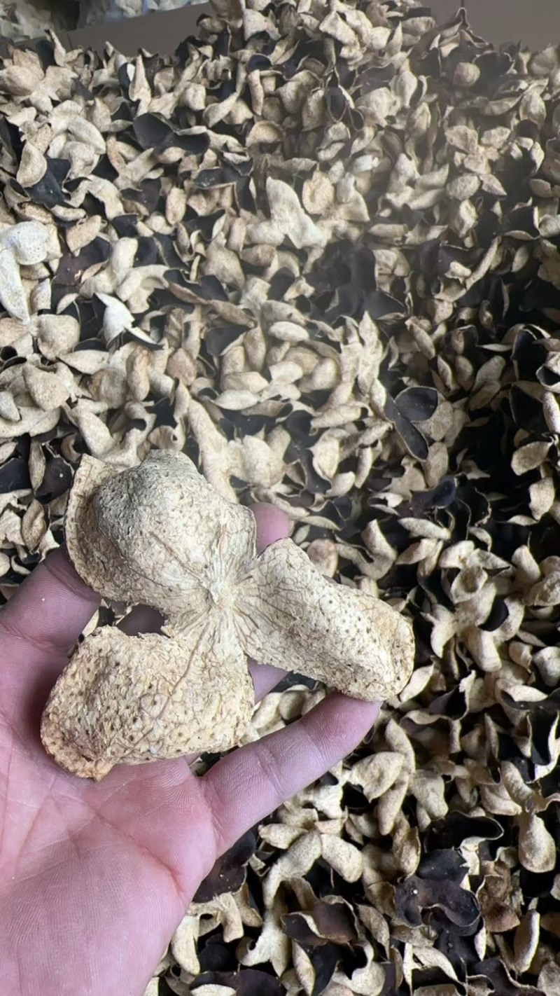 全国供应精品陈皮长期供货品质保证