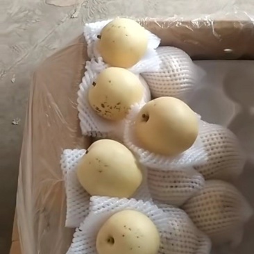 二级皇冠梨