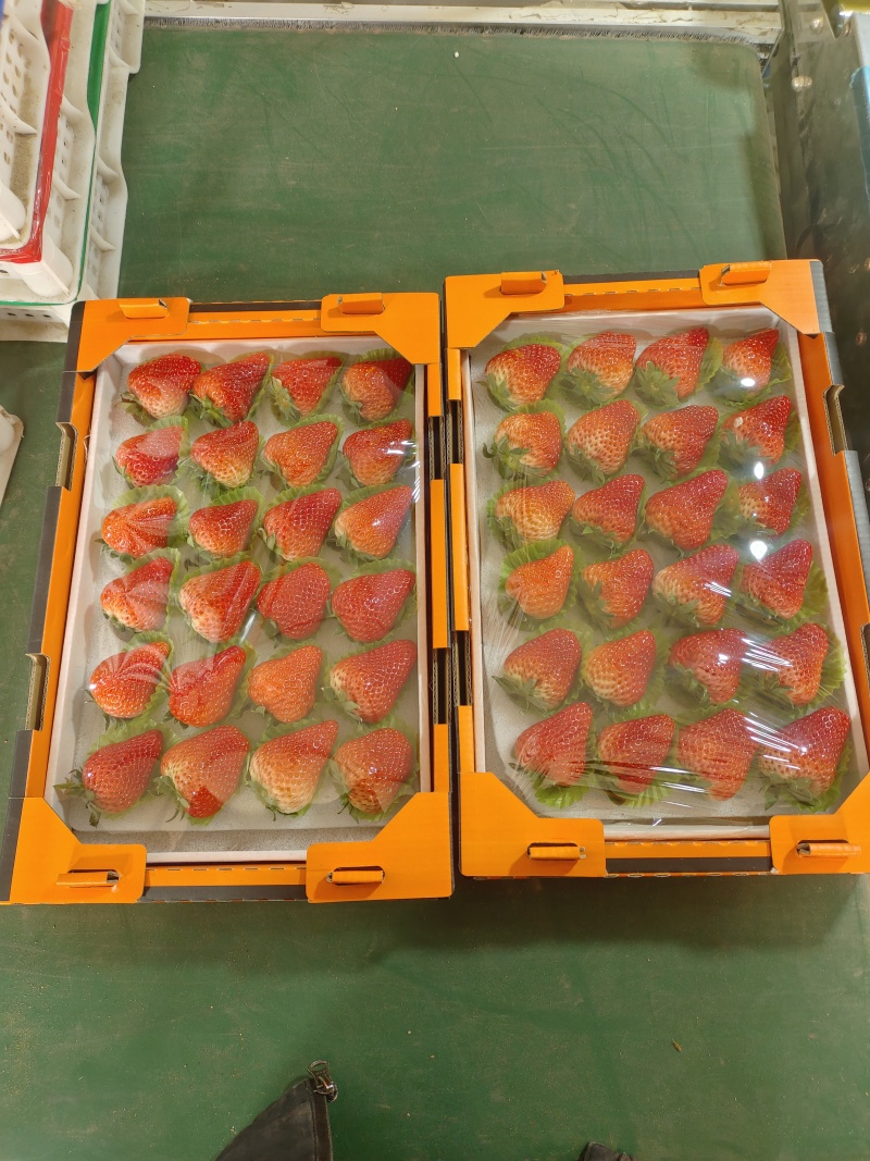 草莓降价