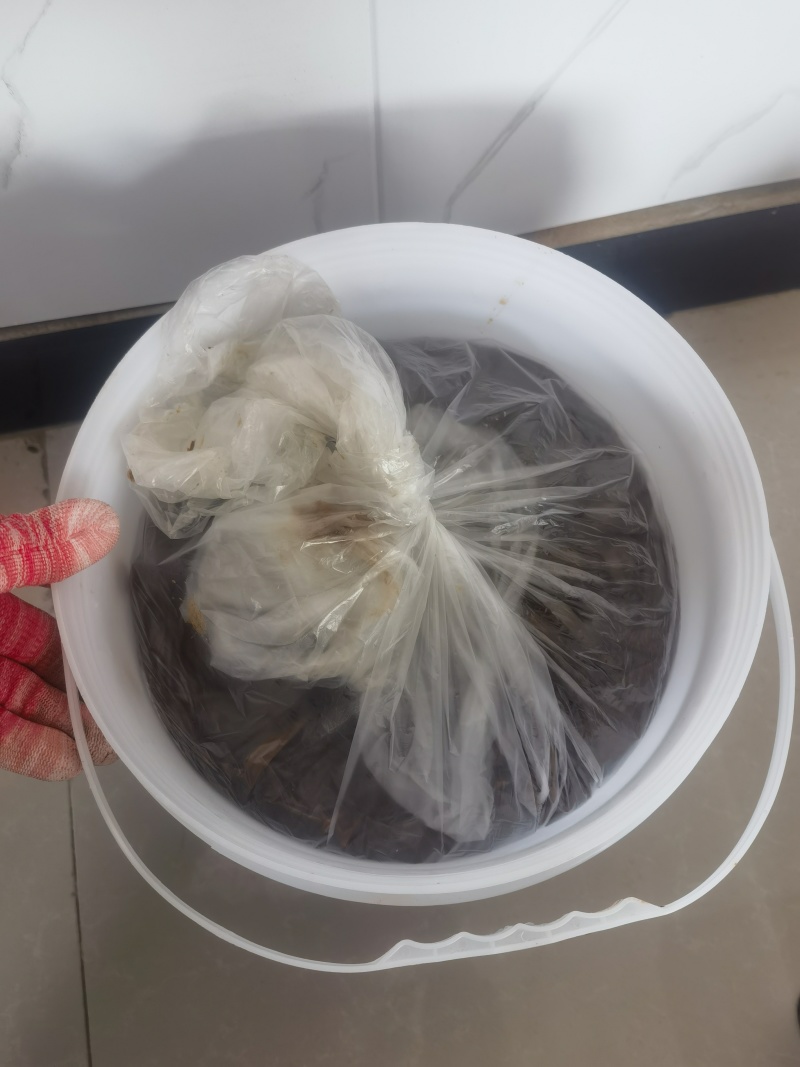 黄豆酱，大酱，干黄酱，调味酱，5斤桶装