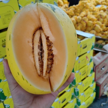 黄金密