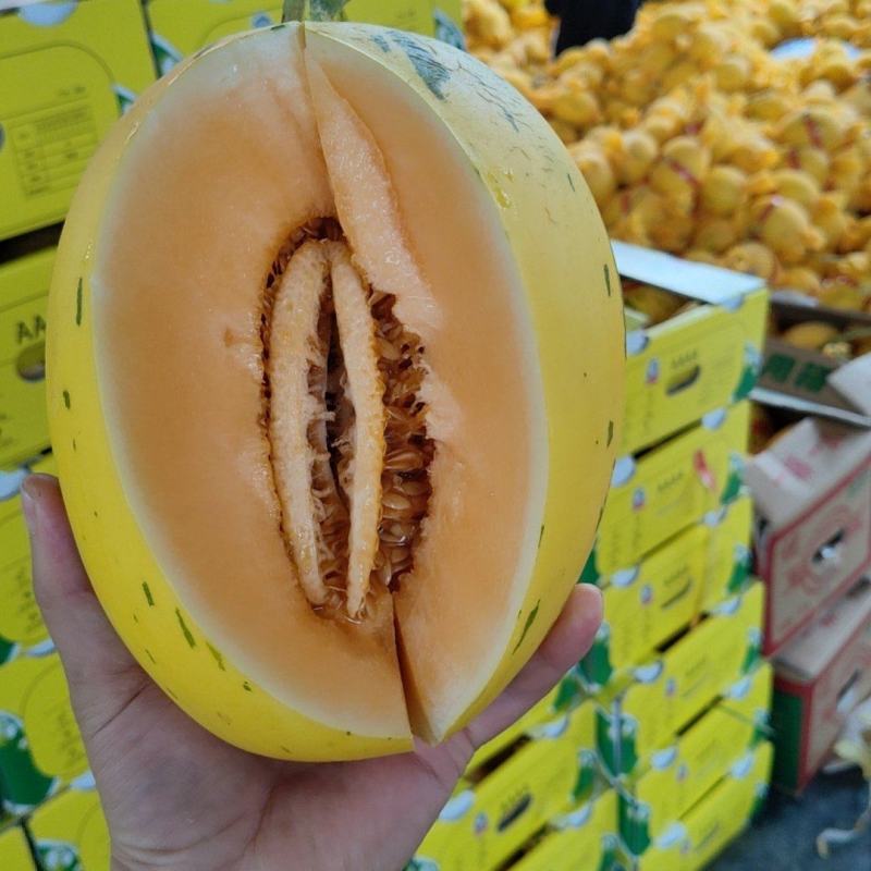 黄金密