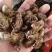 蝉蜕新蝉蜕沙地货水洗无硫***爬蚱皮统货蝉蜕假一赔十