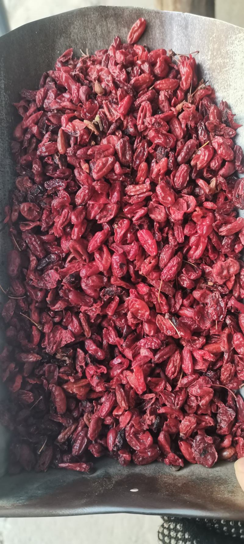 山萸肉山芋肉山茱萸肉山茱萸制山萸肉一公斤起批