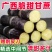 正宗广西黑皮甘蔗脆甜多汁现砍现发一件代发对接全网电商平台