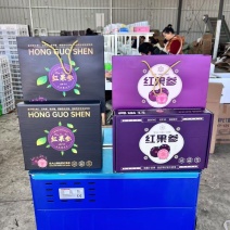 云南红果参大量上市支持一件代发整车代发