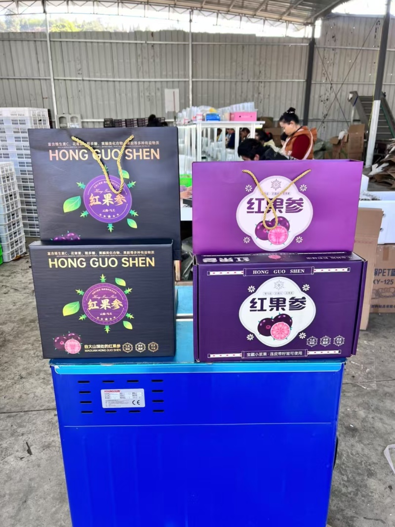 云南红果参大量上市支持一件代发整车代发