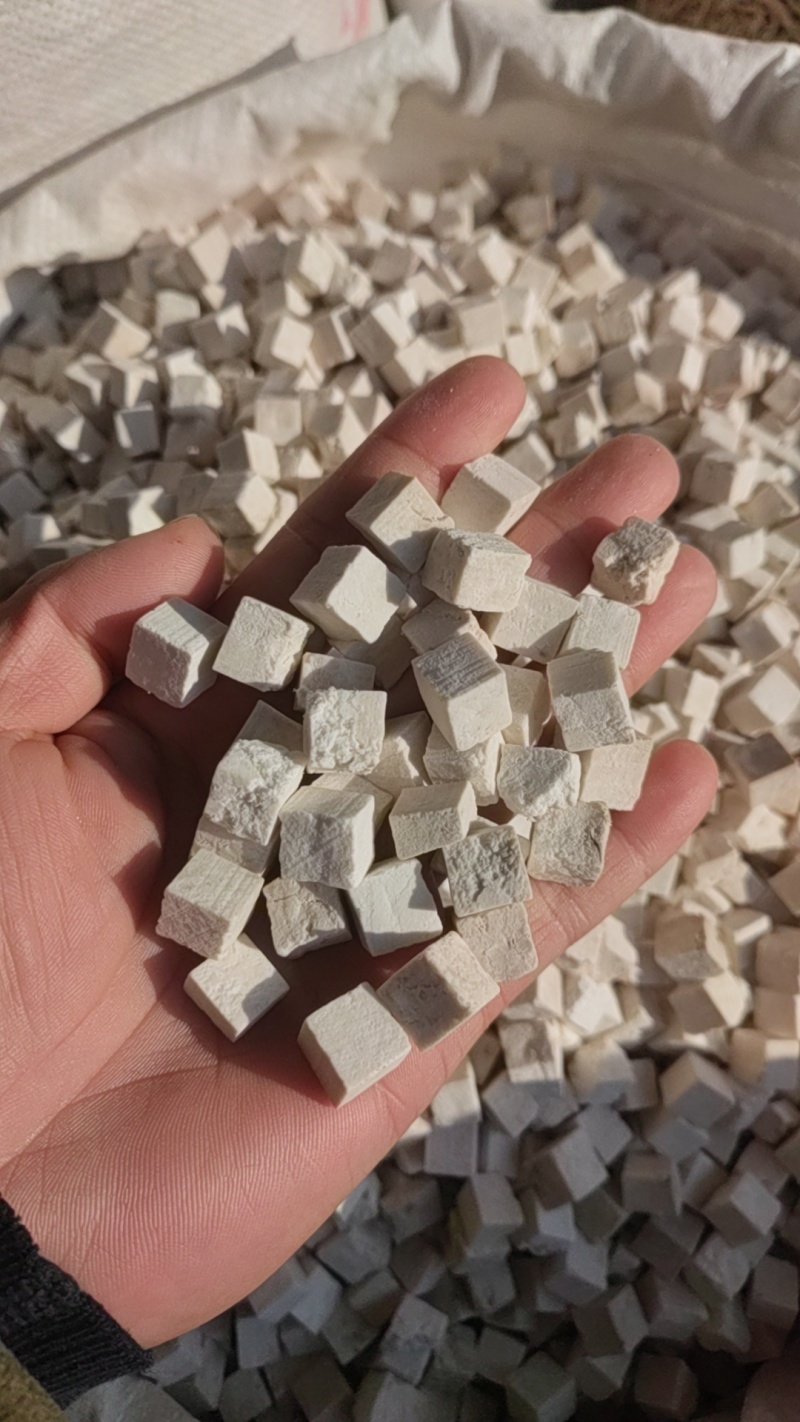 茯苓