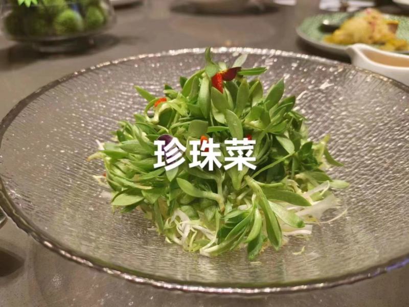 新型特菜珍珠菜，基地2025年推出的最新特菜，口感超棒