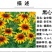 黑心菊厂家货源批发价格全国发货价格便宜欢迎下单咨询