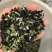 葱叶脱水蔬菜，量大优惠，产地直发，快来选购吧